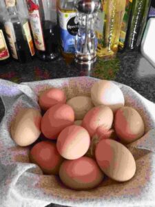 Safe Storage? Keeping Eggs at Room Temp Image